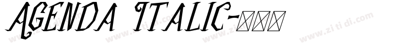 Agenda Italic字体转换 Agenda Italic字体转换